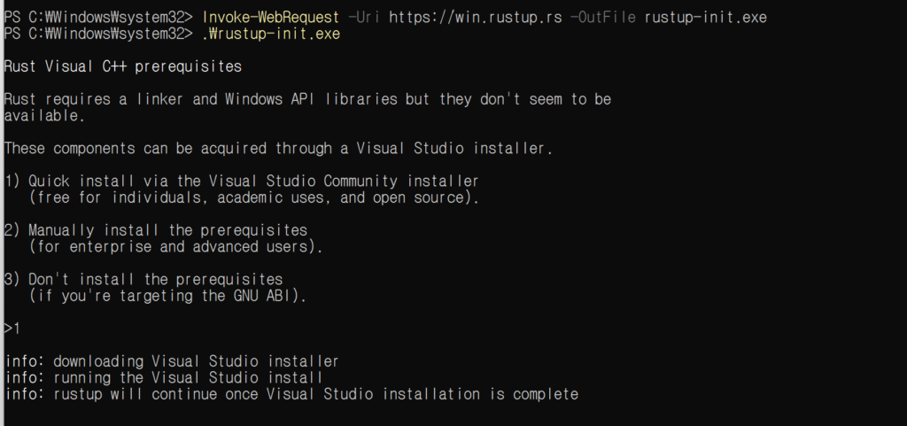 Rust development environment on Windows